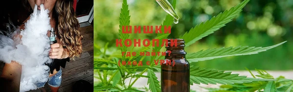 спайс Инта