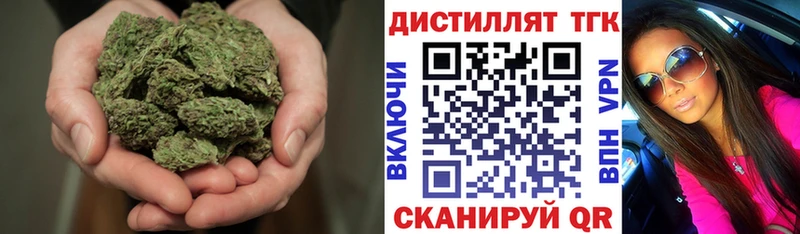 Купить где  Заречный  ТГК концентрат 