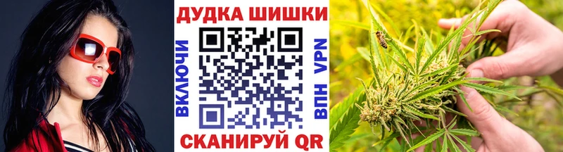 Шишки марихуана Amnesia  Купить закладки  Заречный 
